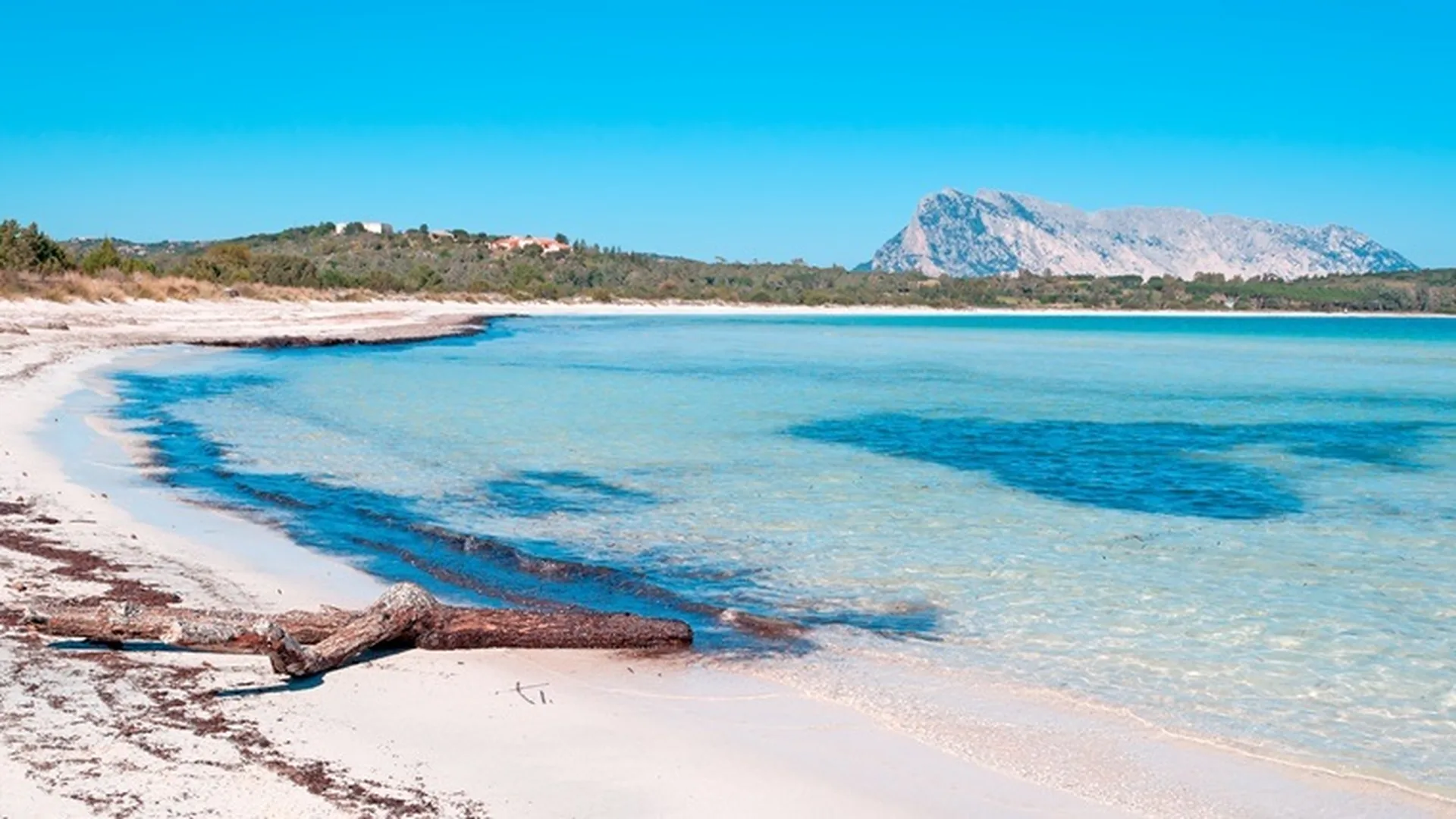Cala Paradiso Apartment Casa Agave, San Teodoro (Sardegna)